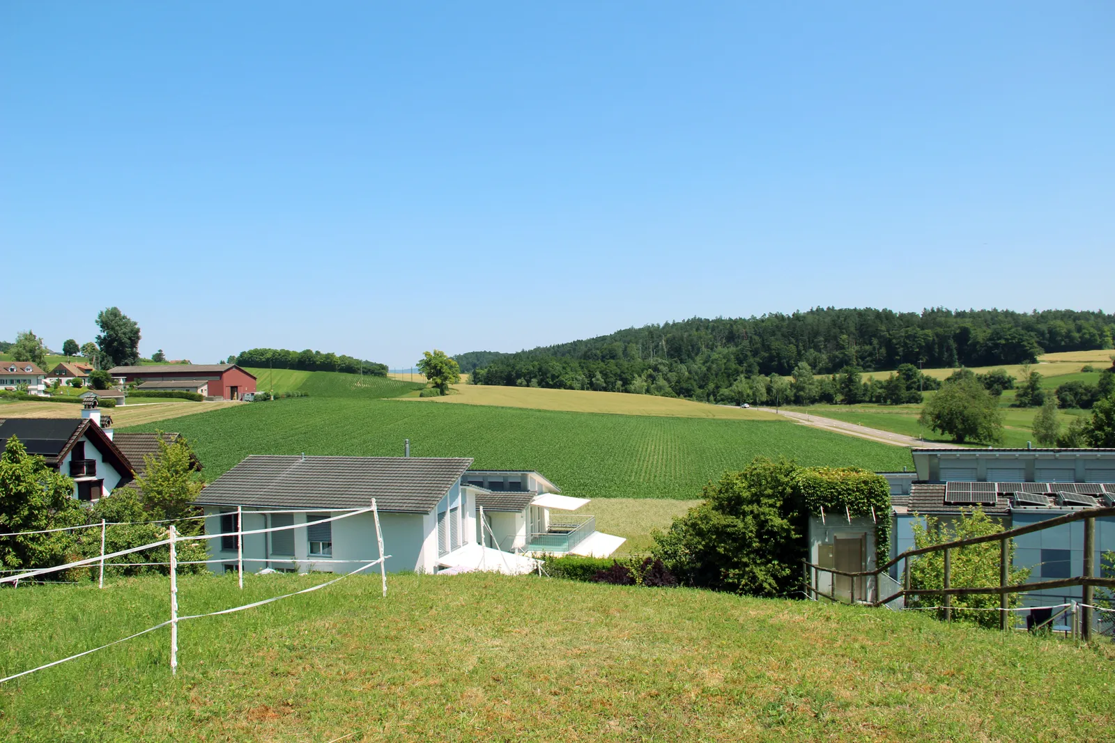 view east