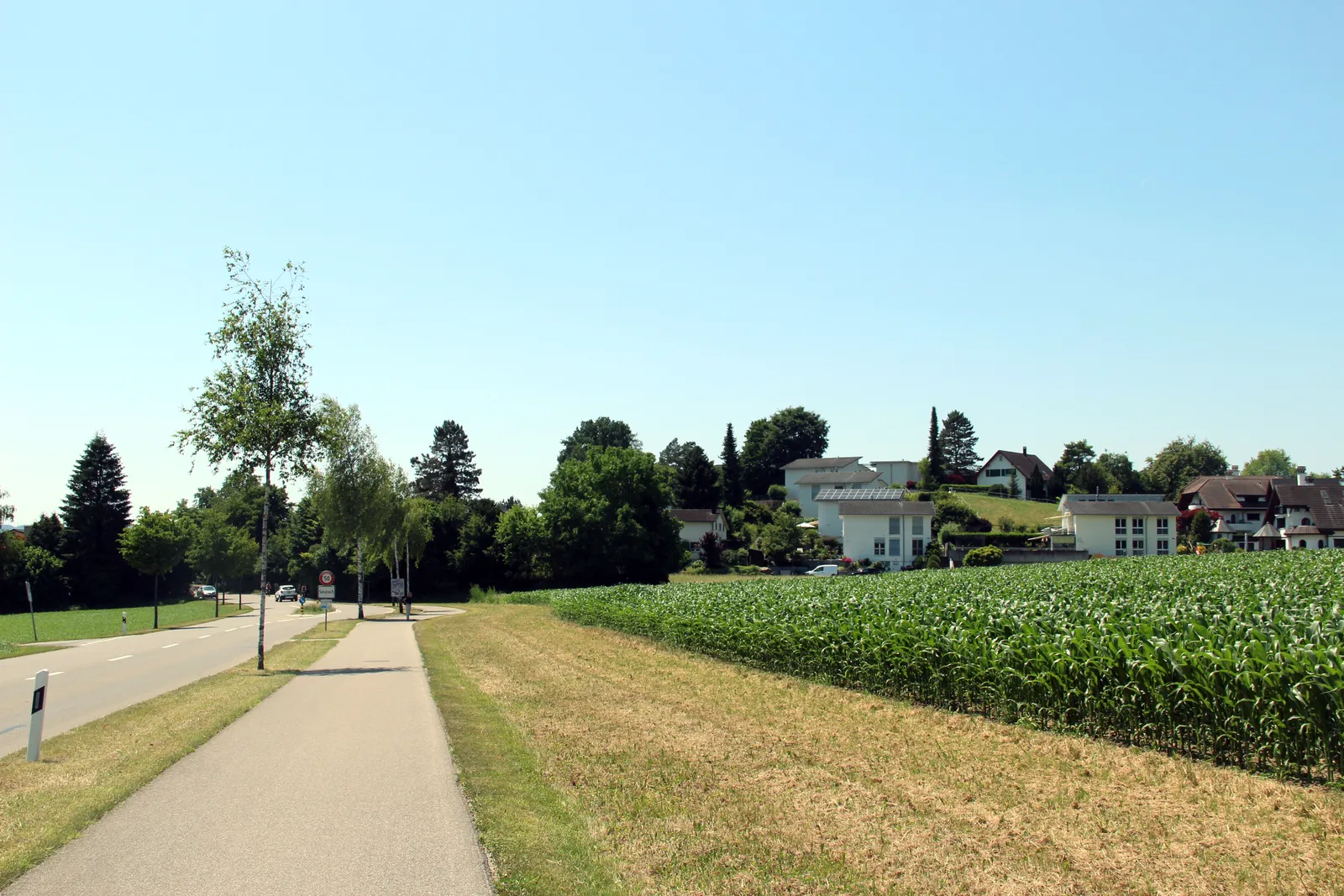 view from main street