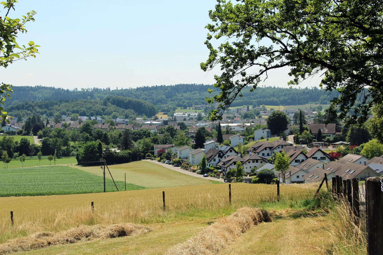 view from hill