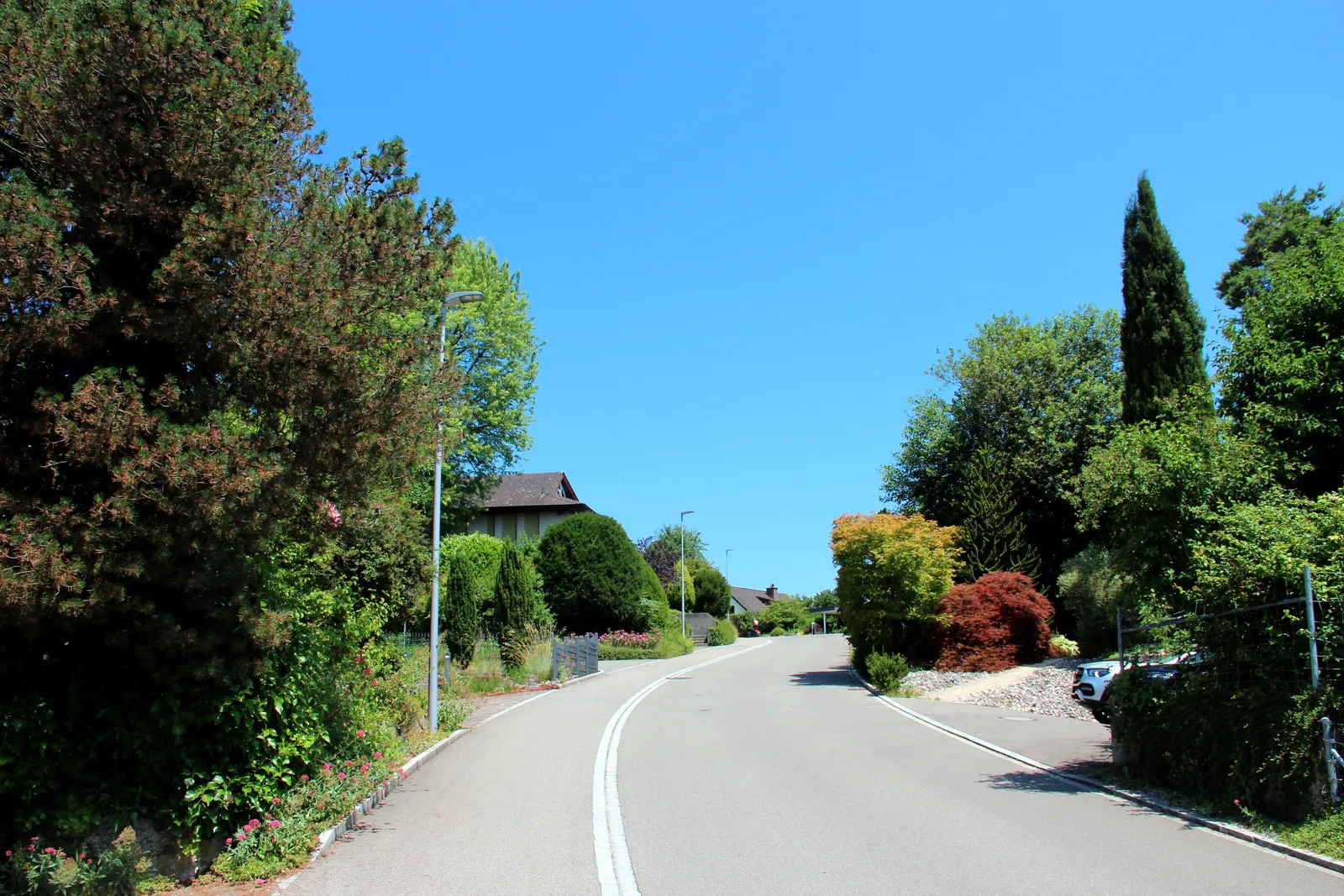 neighborhood