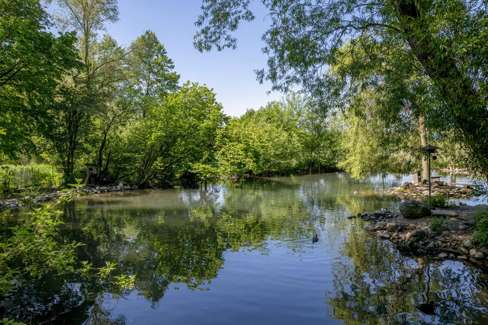 recreation area